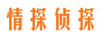 新密市婚外情调查